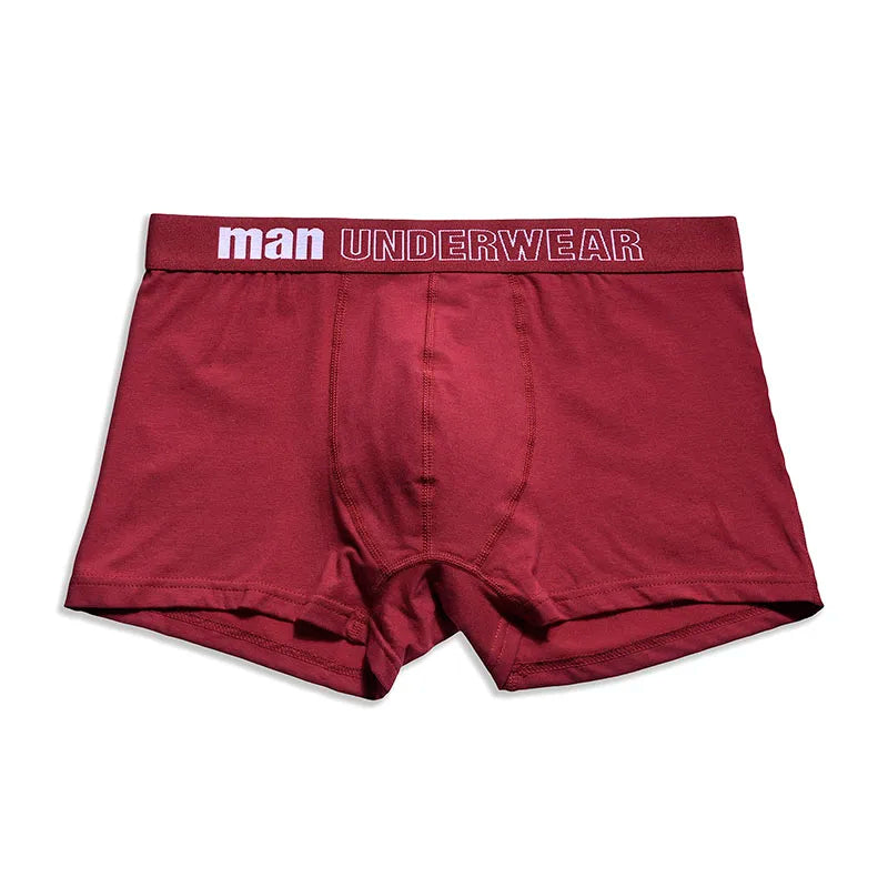 6pcs/lot Oversized Cotton Mens Underpants Soft Boxer Men Breathable Solid Underwear Flexible Boxershorts  Vetement Homme AANHORA-SHOPPING