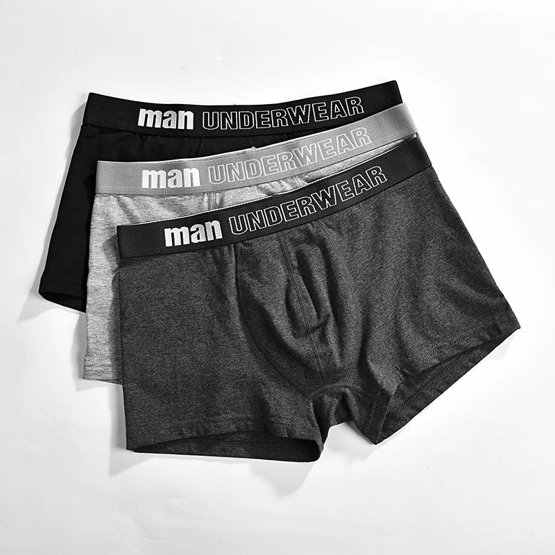 6pcs/lot Oversized Cotton Mens Underpants Soft Boxer Men Breathable Solid Underwear Flexible Boxershorts  Vetement Homme AANHORA-SHOPPING