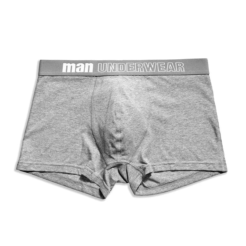 6pcs/lot Oversized Cotton Mens Underpants Soft Boxer Men Breathable Solid Underwear Flexible Boxershorts  Vetement Homme AANHORA-SHOPPING