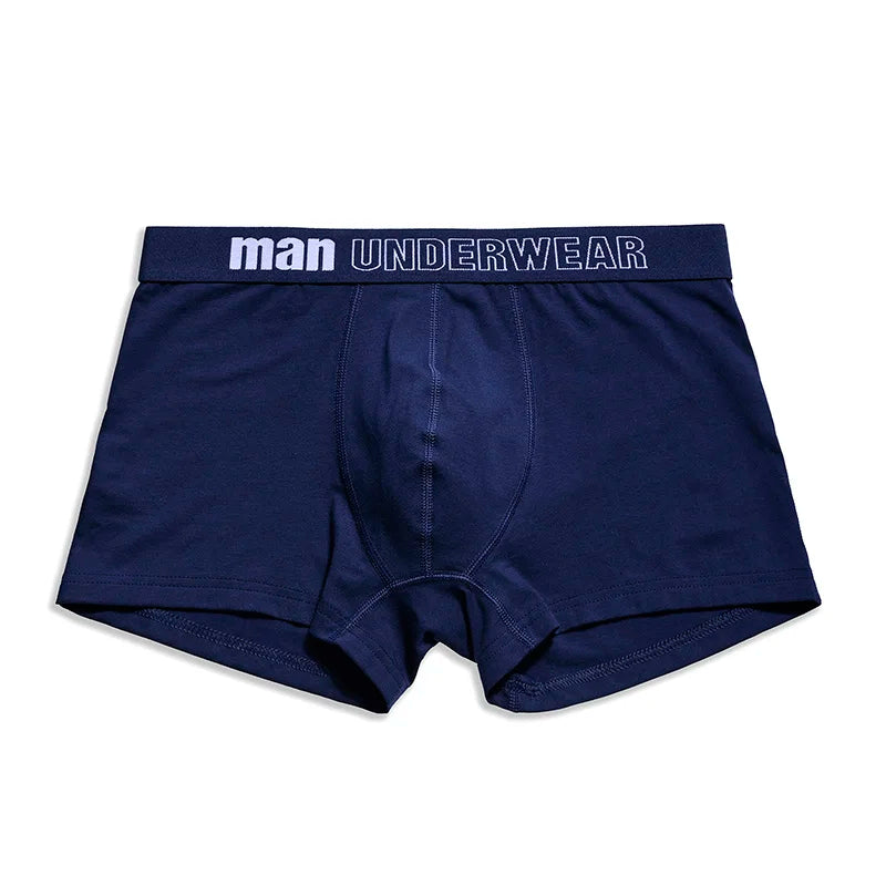 6pcs/lot Oversized Cotton Mens Underpants Soft Boxer Men Breathable Solid Underwear Flexible Boxershorts  Vetement Homme AANHORA-SHOPPING