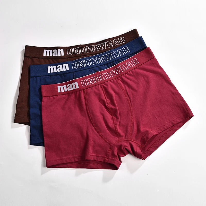 6pcs/lot Oversized Cotton Mens Underpants Soft Boxer Men Breathable Solid Underwear Flexible Boxershorts  Vetement Homme AANHORA-SHOPPING