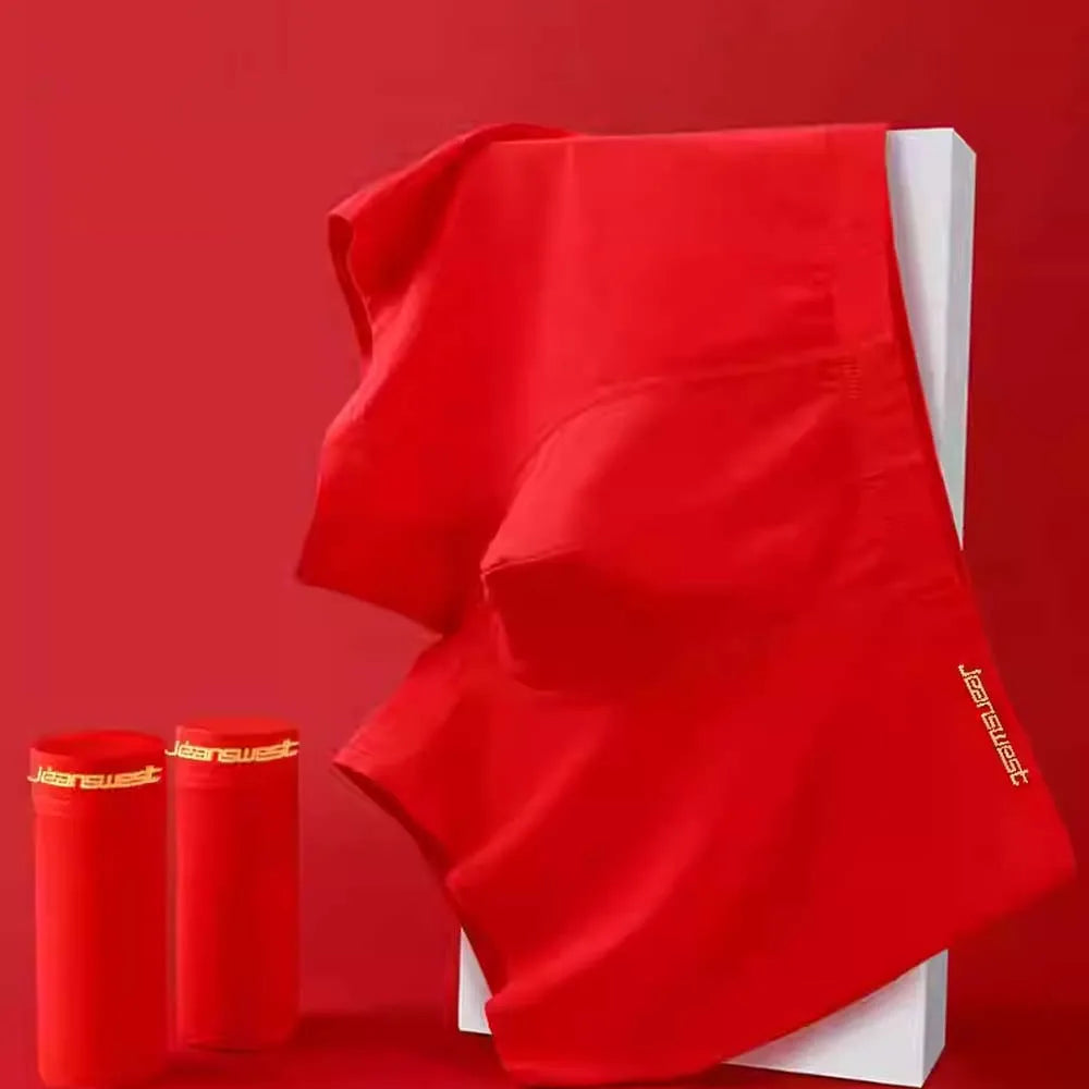 Ropa interior de marca para hombre, bragas de tacto suave para hombre, diseño de bolsa en U con corte 3D, ropa para hombre, calzoncillos transpirables para hombre de talla grande L-5XL AANHORA-SHOPPING