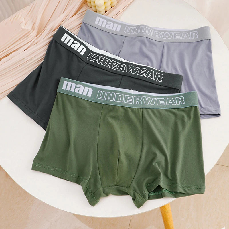 4-Piece/Set Men's Cotton Comfortable Boxer Shorts Breathable And Fashionable Fitness Underwear Men's Close Fitting Boxer Shorts AANHORA-SHOPPING